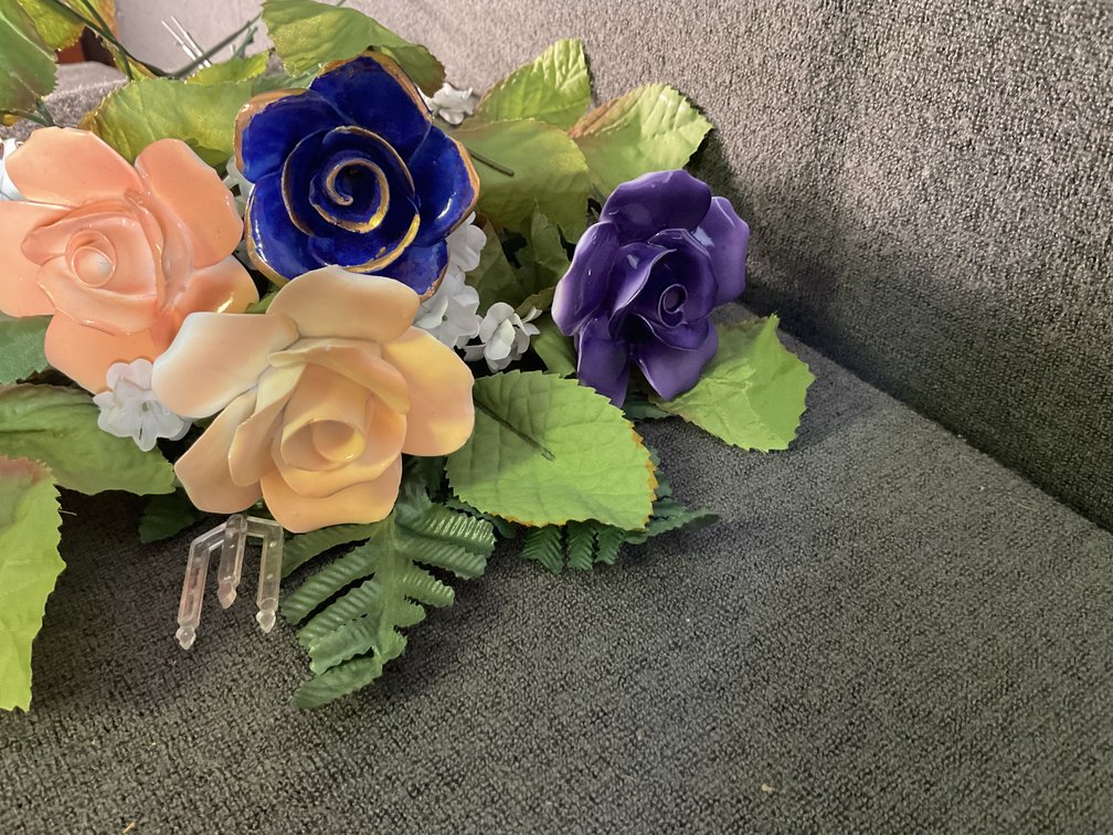 Image for China Roses