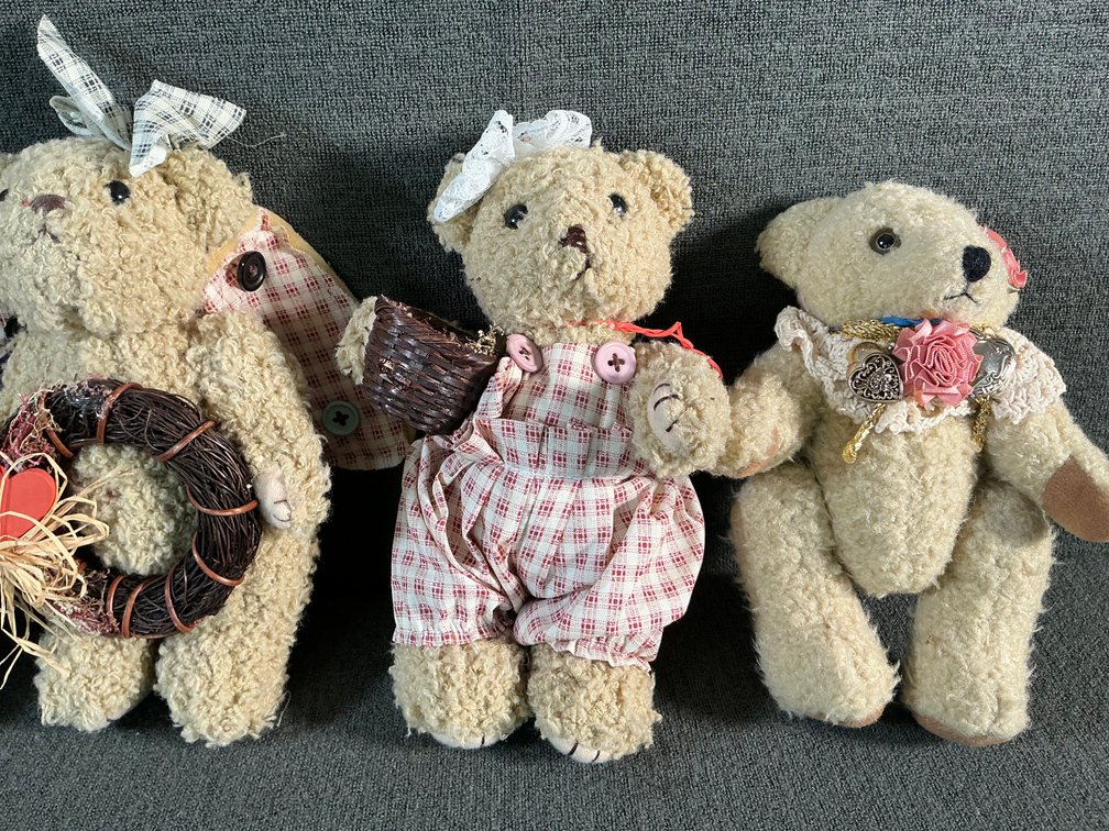 Image for 5 Small Assorted Bears & More