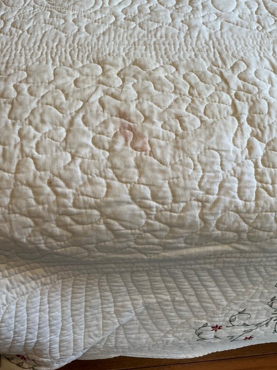 Image for Bedspread & Pillow Shams