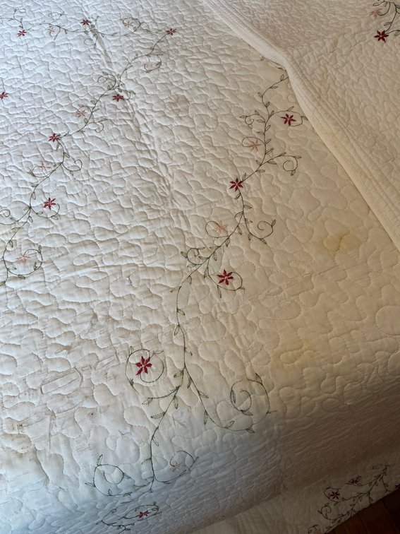 Image for Bedspread & Pillow Shams