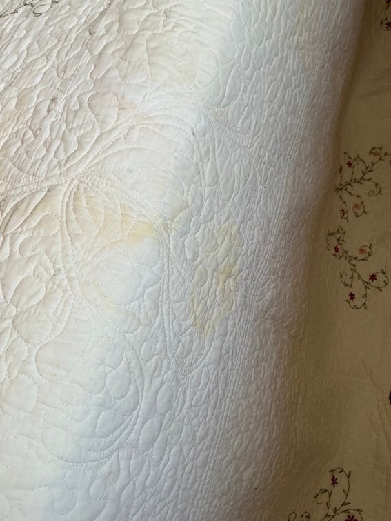 Image for Bedspread & Pillow Shams