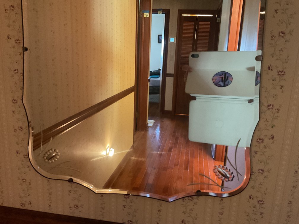 Image for Mirror