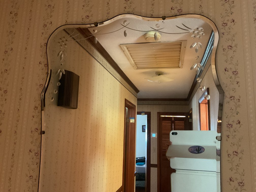 Image for Mirror