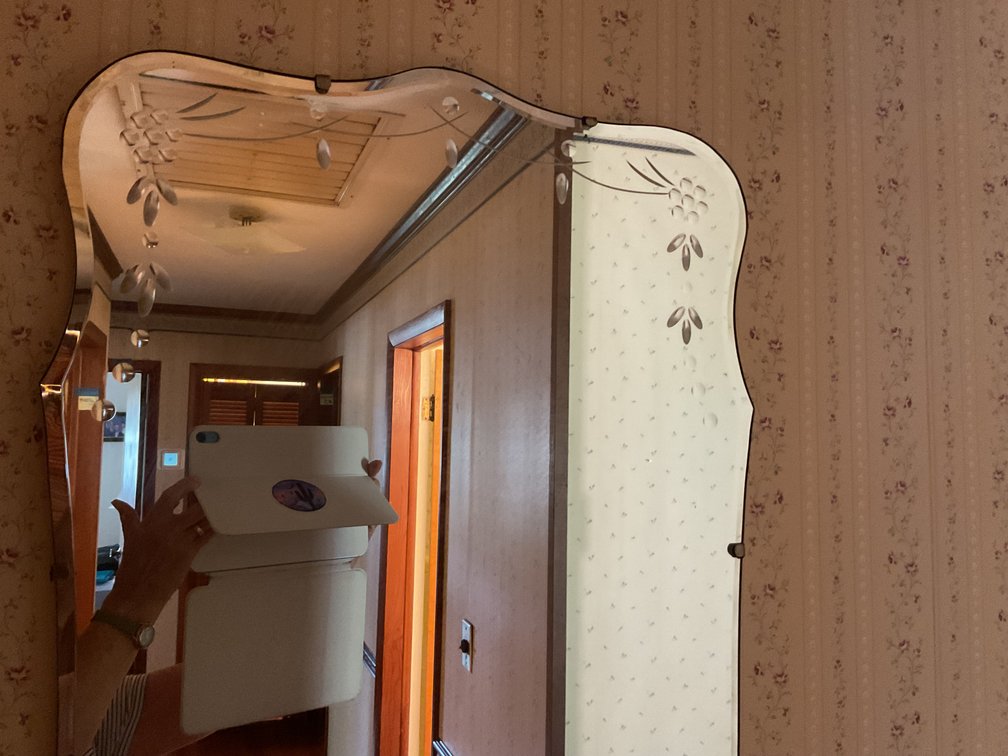 Image for Mirror