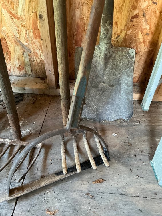 Image for Shovel & Rake Lot
