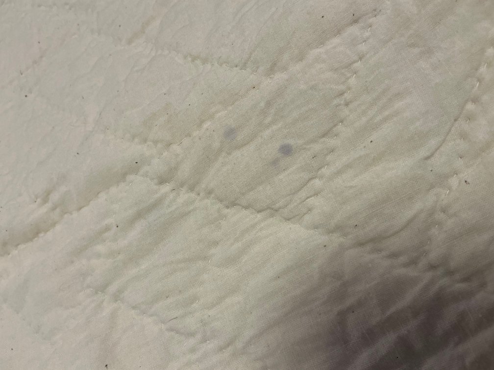Image for Quilt