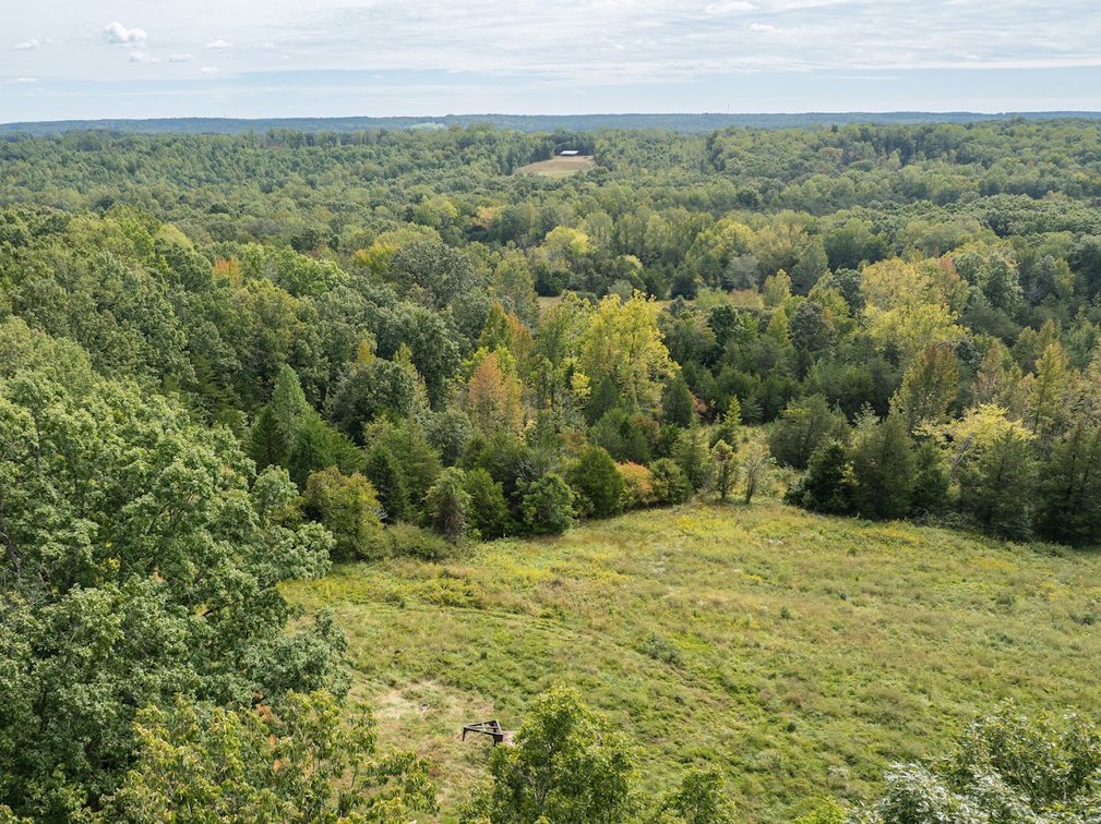 Image for 69.51 ACRES OFFERED IN 2 TRACTS - APPOMATTOX COUNTY