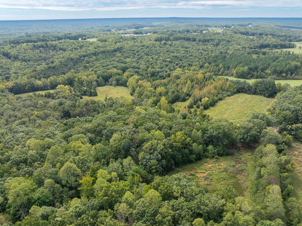 Image for 69.51 ACRES OFFERED IN 2 TRACTS - APPOMATTOX COUNTY