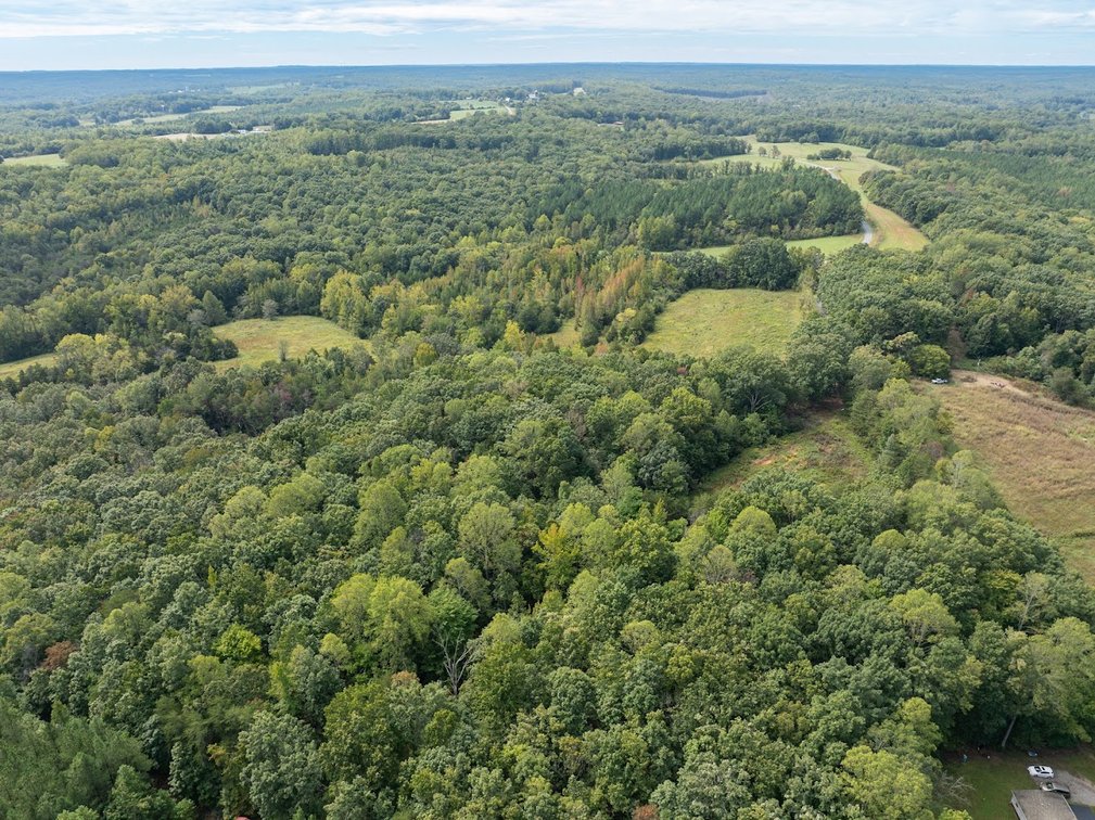 Image for 69.51 ACRES OFFERED IN 2 TRACTS - APPOMATTOX COUNTY