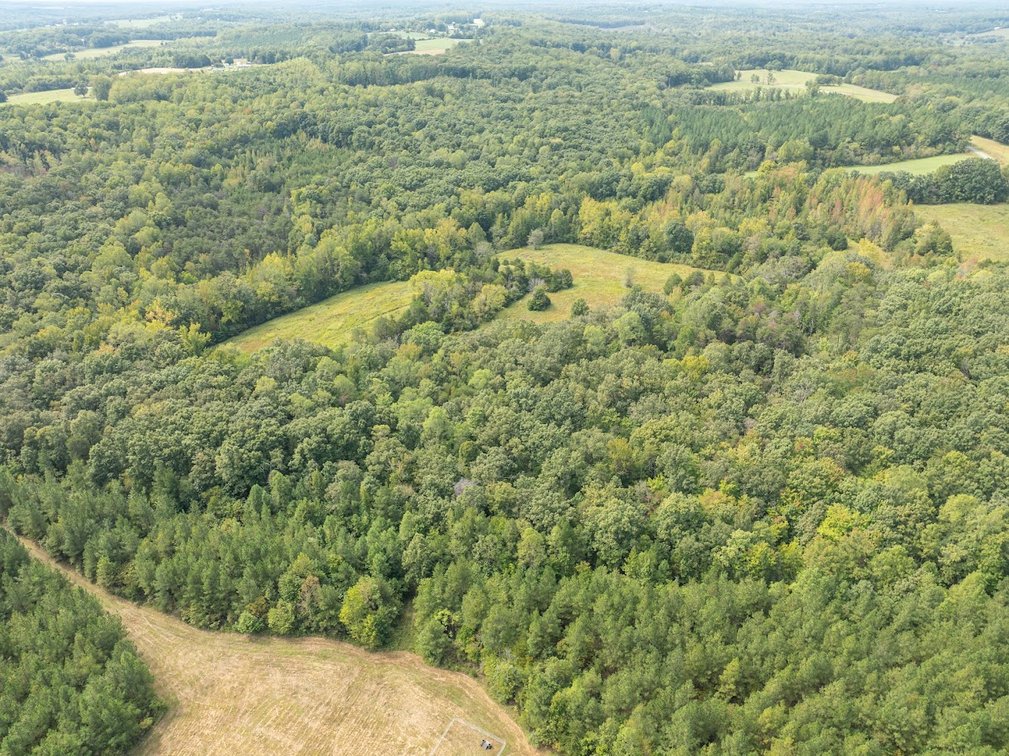 Image for 69.51 ACRES OFFERED IN 2 TRACTS - APPOMATTOX COUNTY