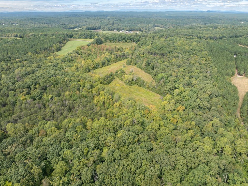 Image for 69.51 ACRES OFFERED IN 2 TRACTS - APPOMATTOX COUNTY