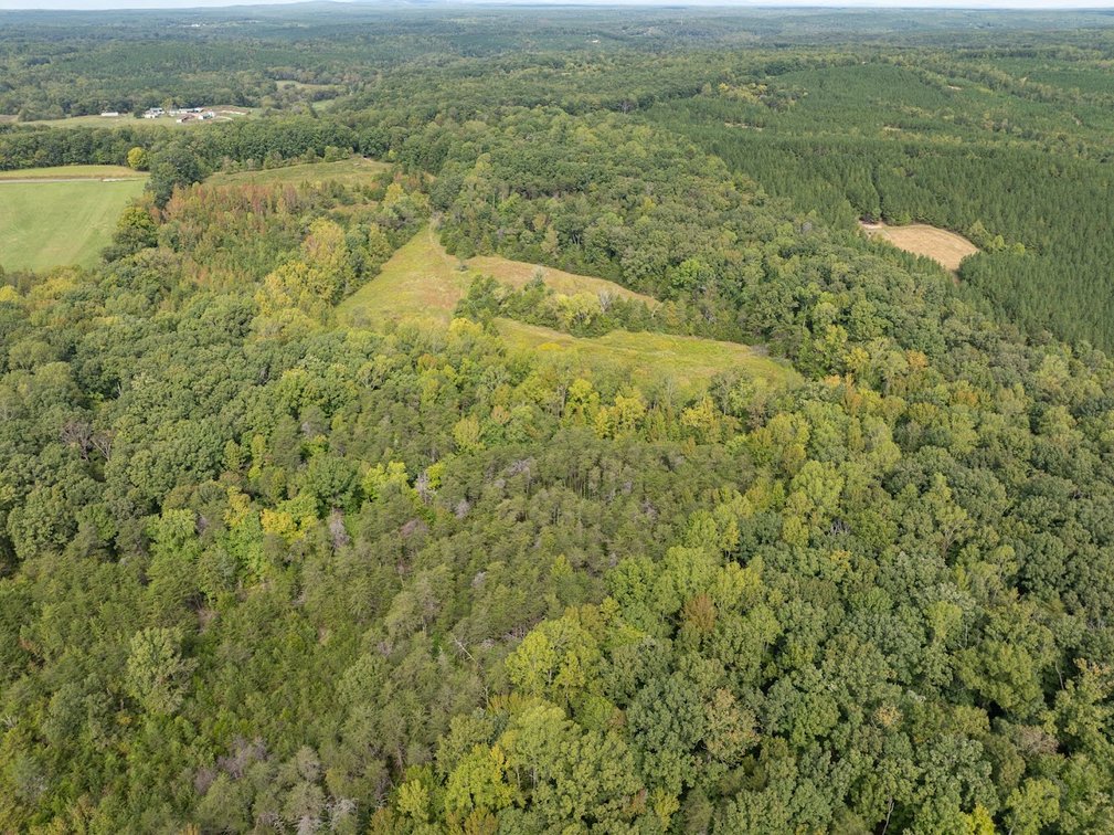 Image for 69.51 ACRES OFFERED IN 2 TRACTS - APPOMATTOX COUNTY