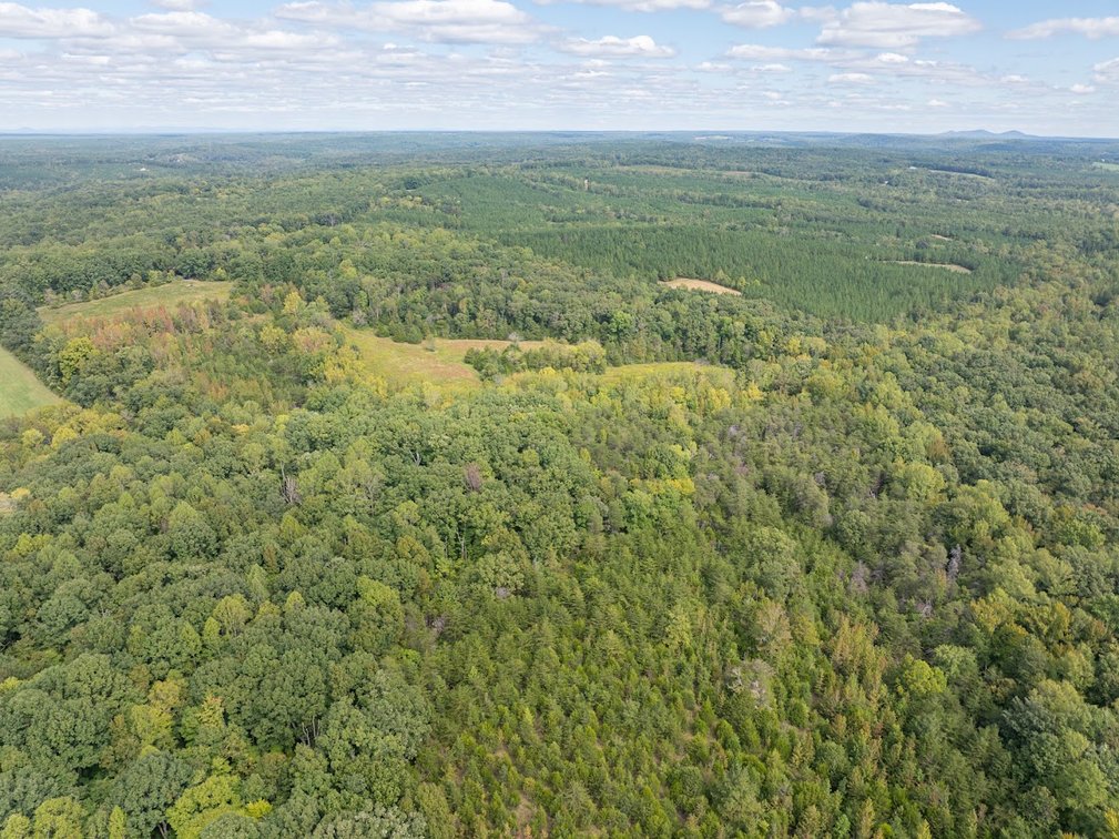 Image for 69.51 ACRES OFFERED IN 2 TRACTS - APPOMATTOX COUNTY
