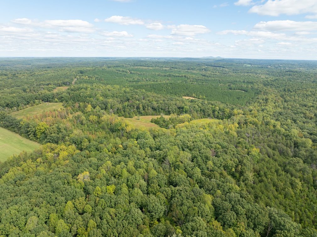 Image for 69.51 ACRES OFFERED IN 2 TRACTS - APPOMATTOX COUNTY