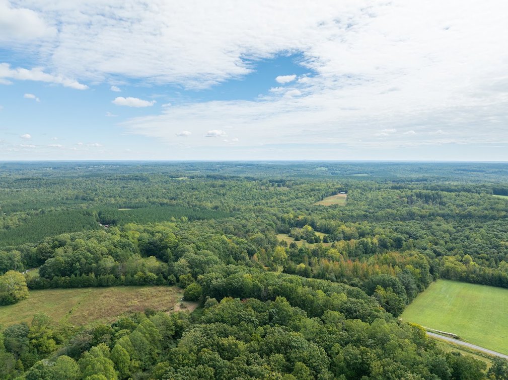 Image for 69.51 ACRES OFFERED IN 2 TRACTS - APPOMATTOX COUNTY