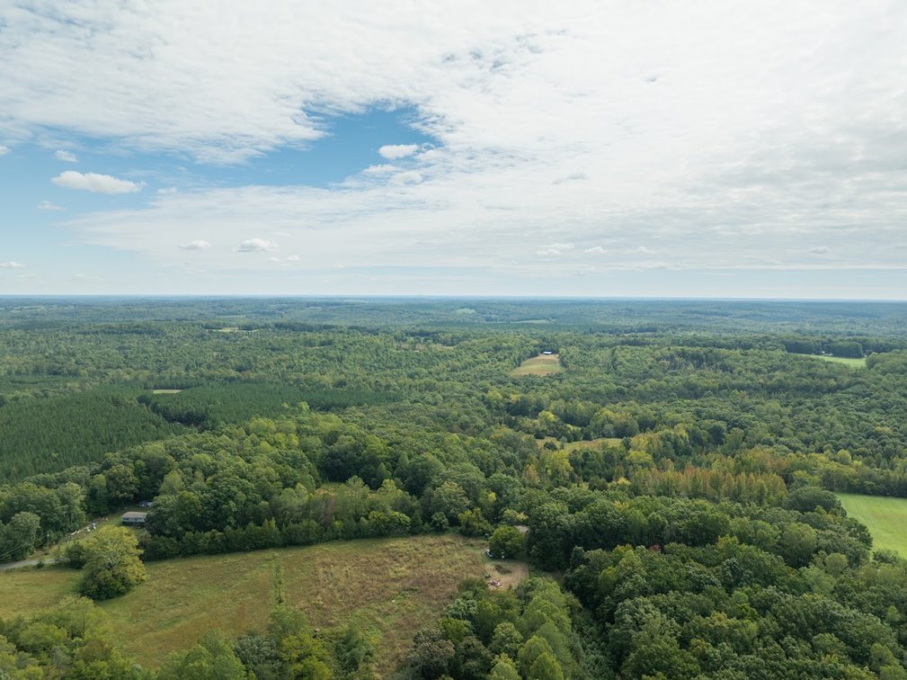 Image for 69.51 ACRES OFFERED IN 2 TRACTS - APPOMATTOX COUNTY