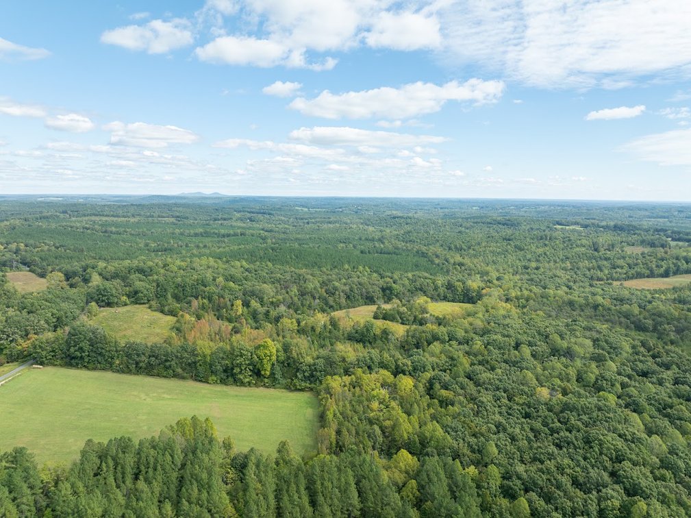 Image for 69.51 ACRES OFFERED IN 2 TRACTS - APPOMATTOX COUNTY