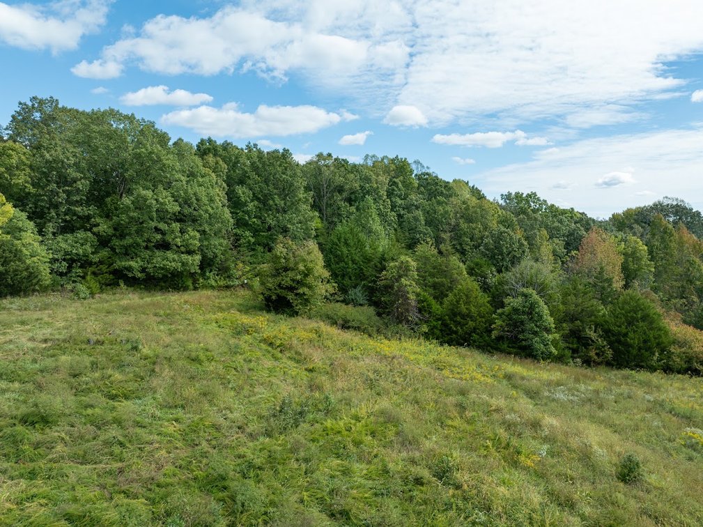 Image for 69.51 ACRES OFFERED IN 2 TRACTS - APPOMATTOX COUNTY