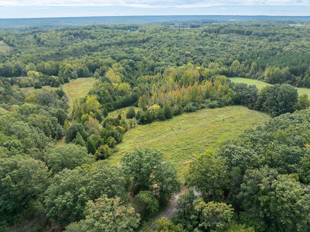 Image for 69.51 ACRES OFFERED IN 2 TRACTS - APPOMATTOX COUNTY