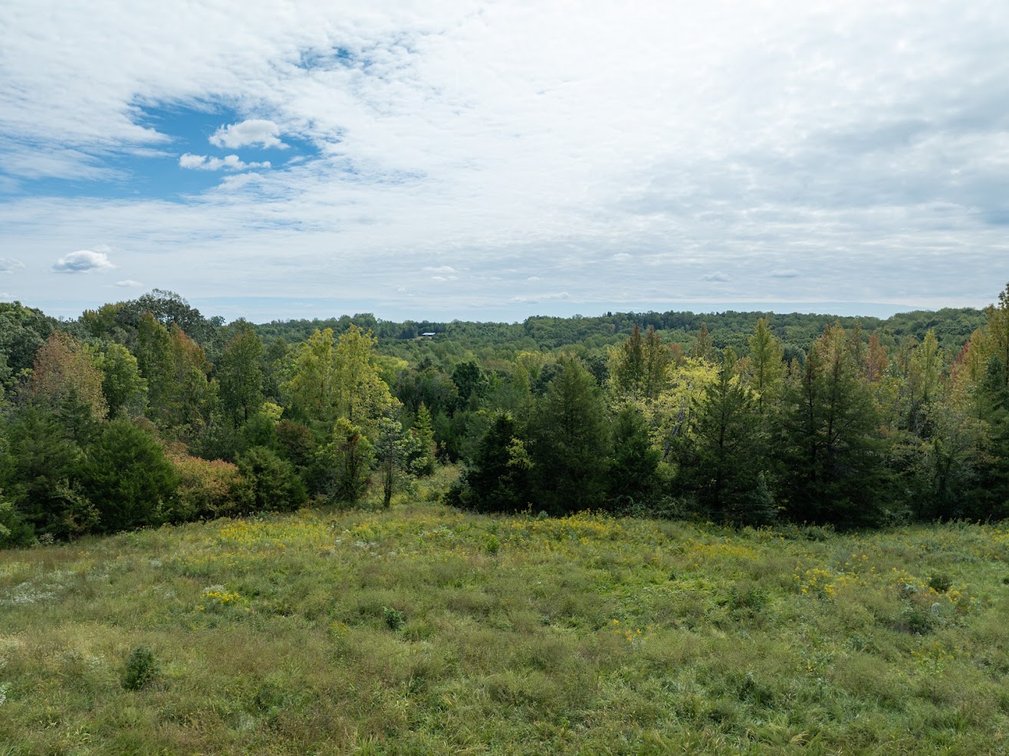 Image for 69.51 ACRES OFFERED IN 2 TRACTS - APPOMATTOX COUNTY