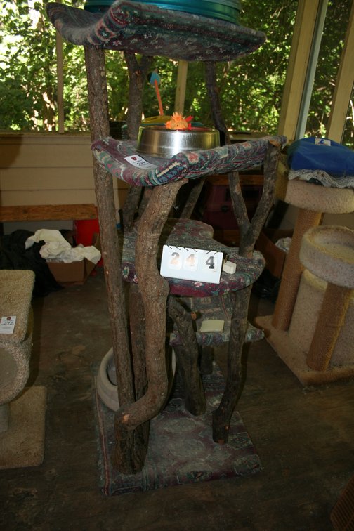 Image for Cat Tree