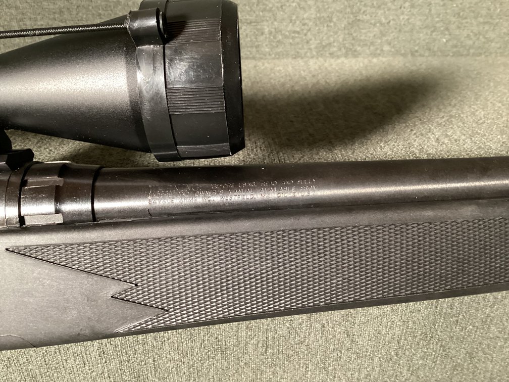 Image for Savage Model 10 Bolt Action Rife Cal 204 Ruger