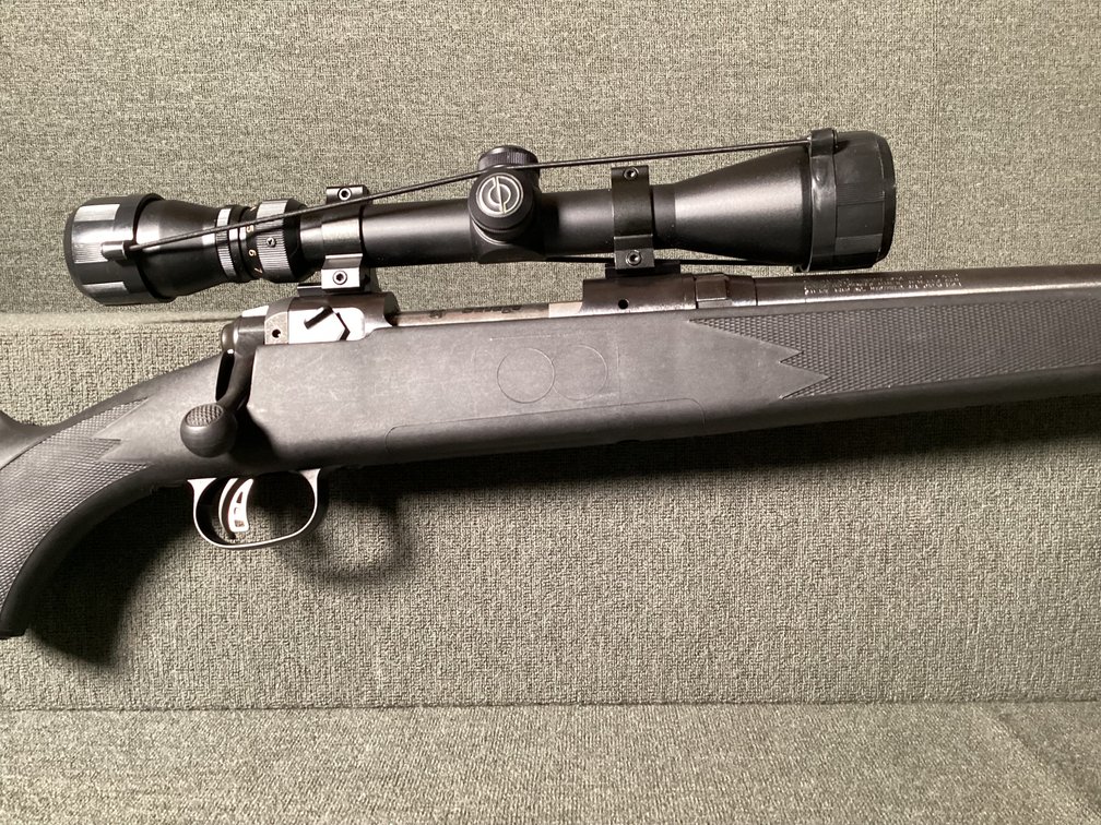 Image for Savage Model 10 Bolt Action Rife Cal 204 Ruger
