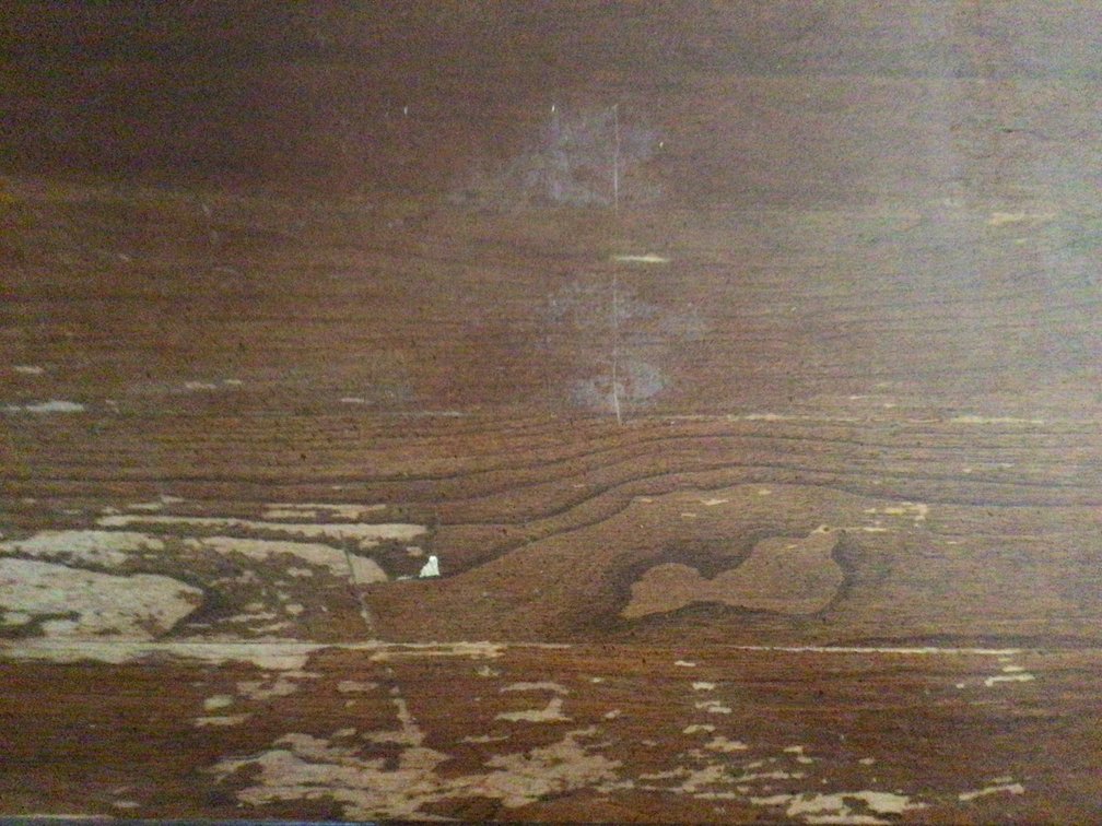 Image for Table