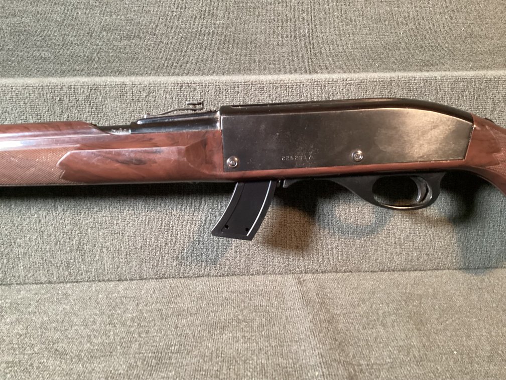 Image for Remington Nylon 66 .22 LR Semi Automatic Rifle