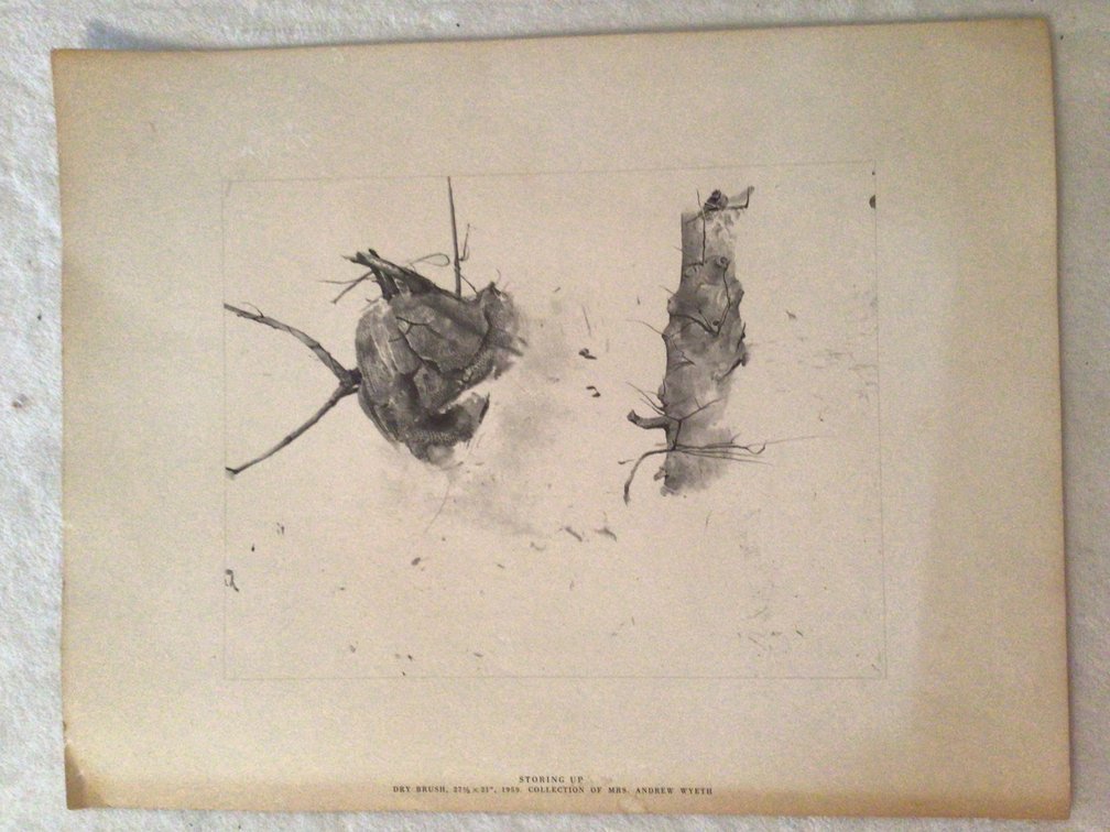 Image for Collection of 4 Unframed Prints
