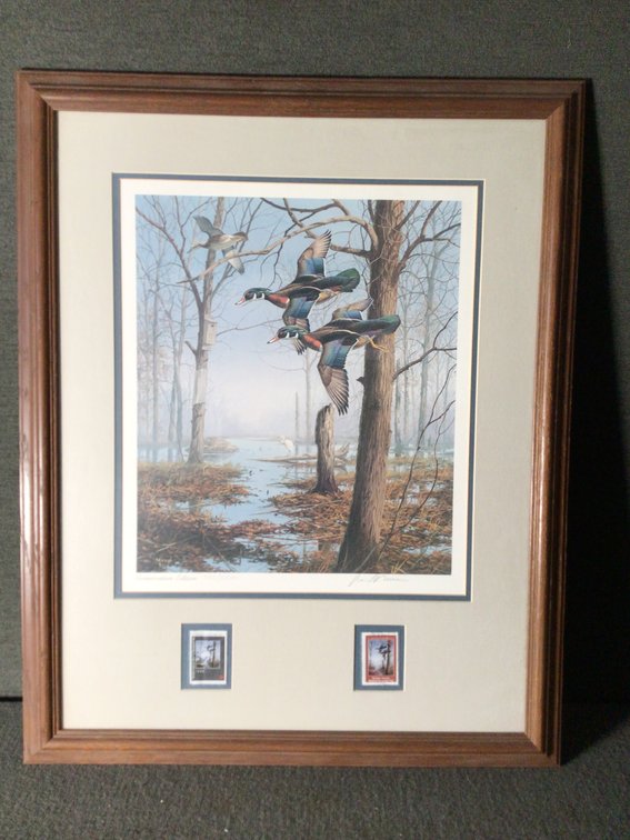 Image for Ducks Unlimited Print