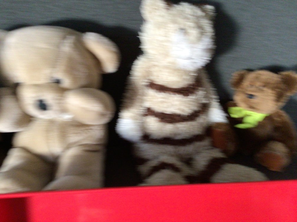 Image for Stuffed animals, red metal tray