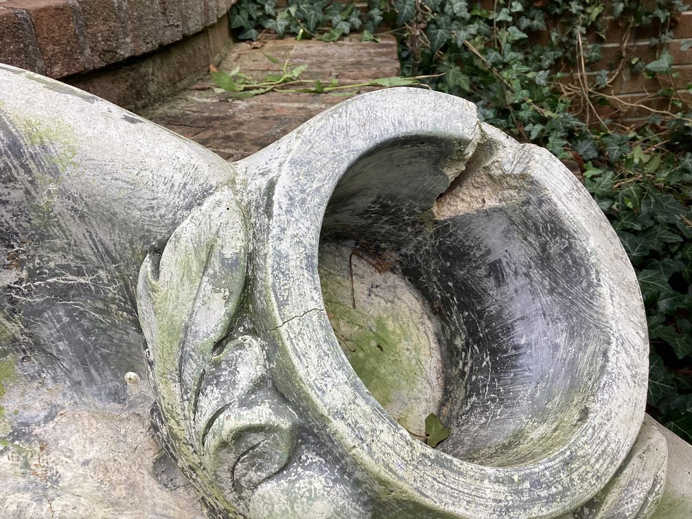 Image for Bowl to birdbath