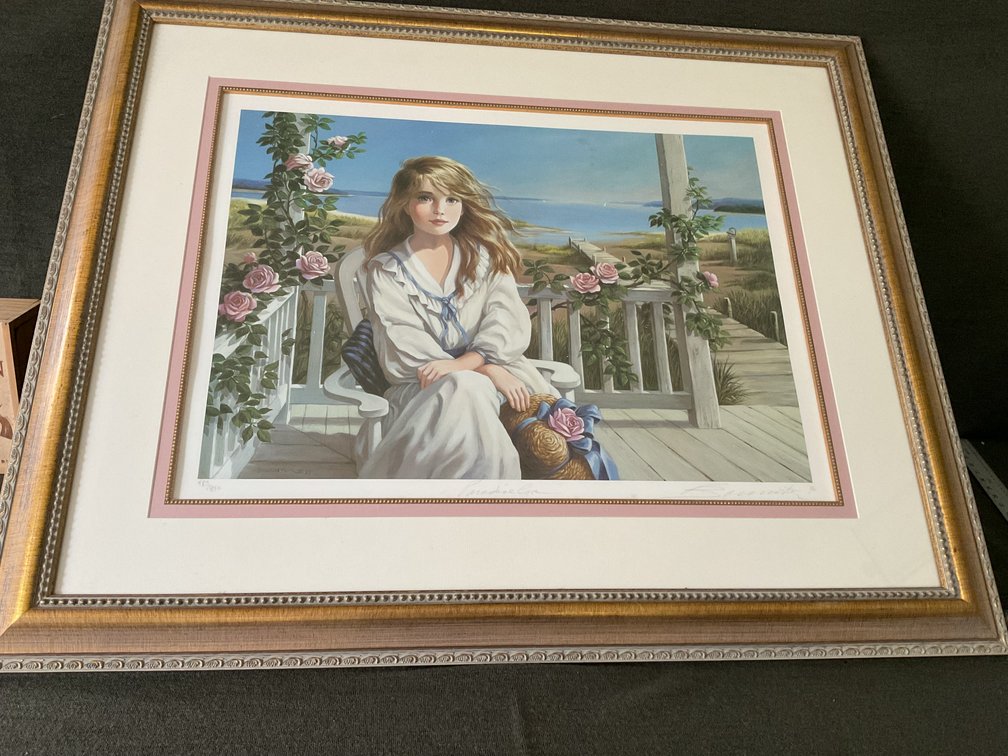 Image for Print in Professional Frame