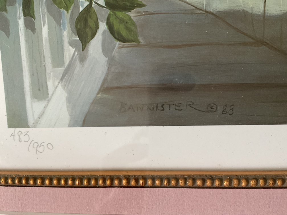 Image for Print in Professional Frame