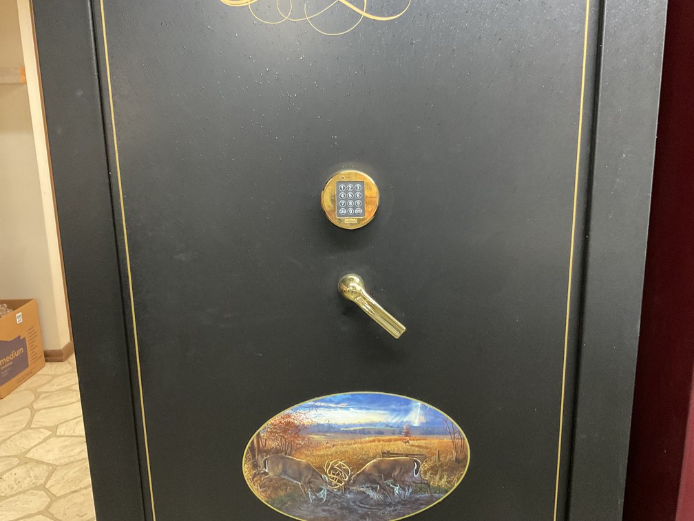 Image for Cannon Safe