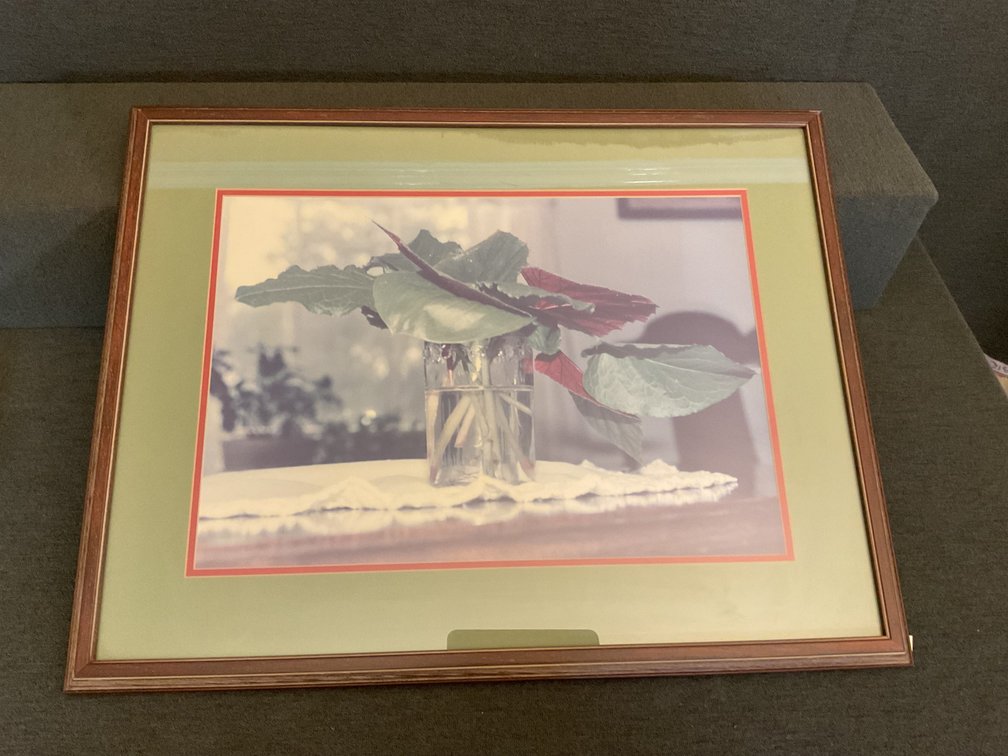 Image for Still Life Photo