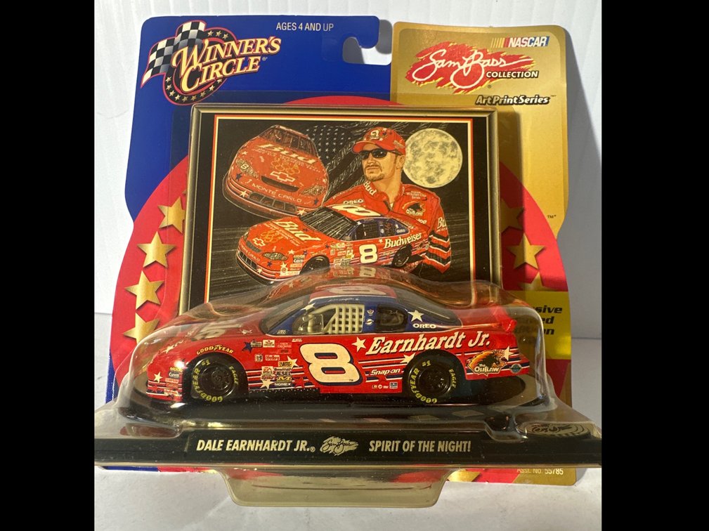 Image for DALE EARNHARDT JR