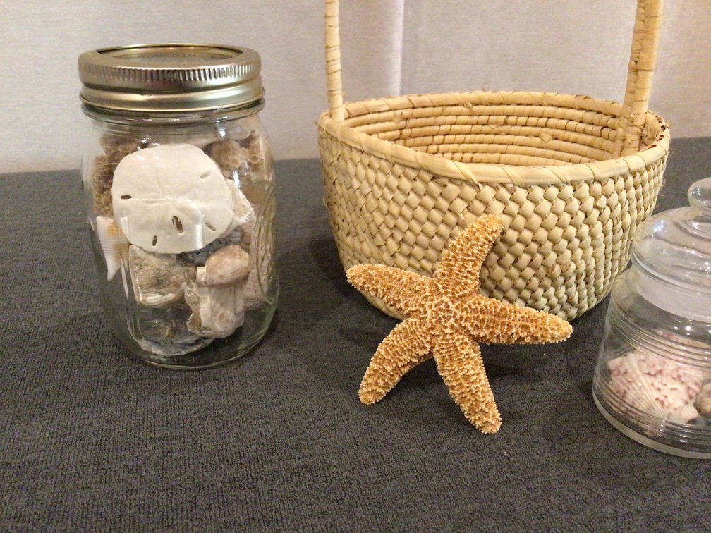 Image for Decorator Lot - Seashells