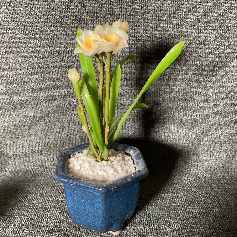 Image for Coalport and More Miniature Floral Arrangements