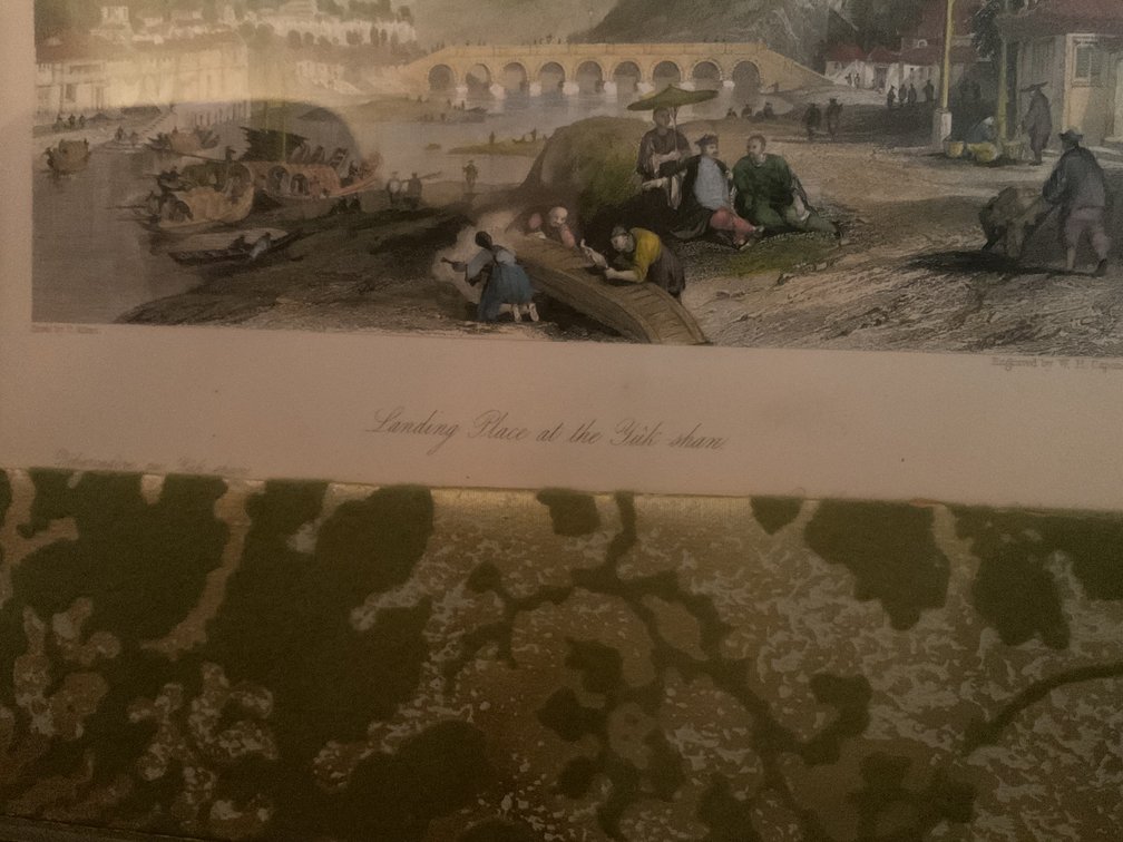 Image for Pair of Prints with Damask Mats