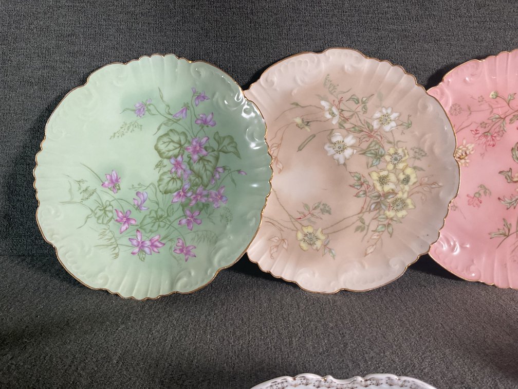 Image for Hand Painted Plates Dated 1898