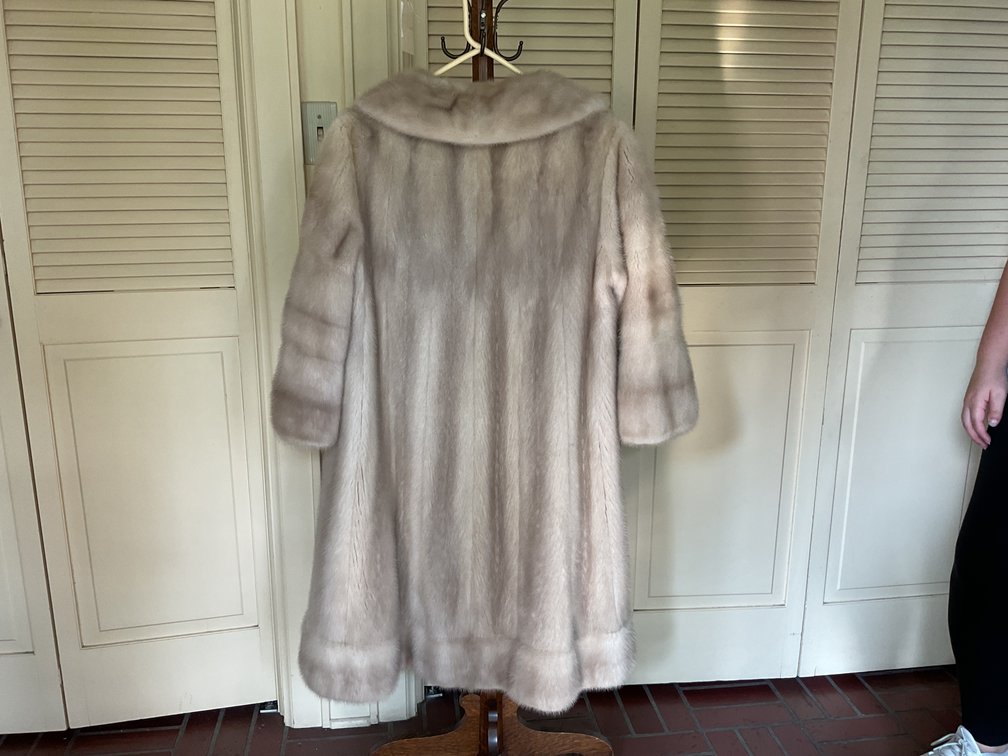 Image for Silver Mink Coat