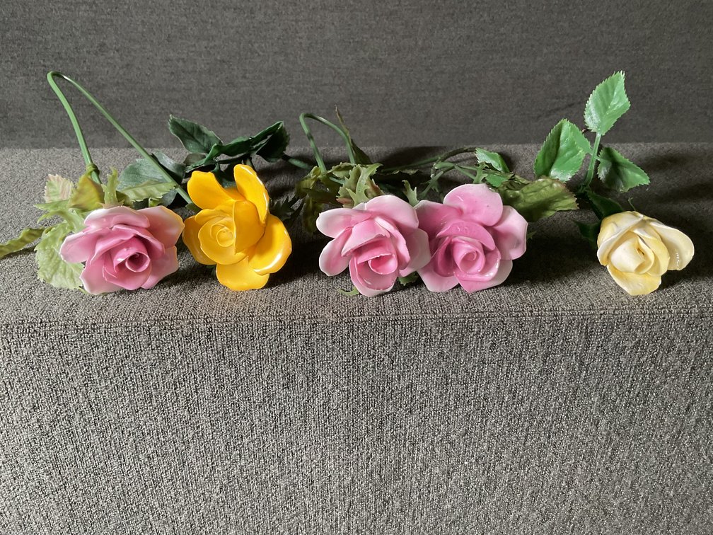 Image for China Roses
