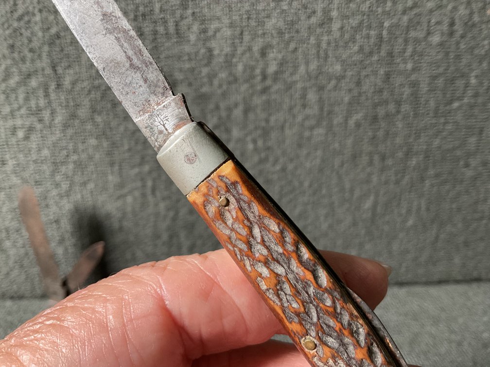 Image for Tree Brand Knives & Scout Knife