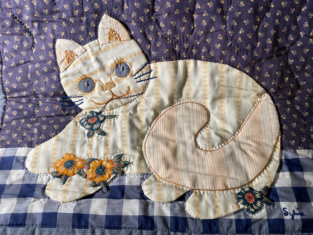 Image for Fiber Art by Sylvia Richardson
