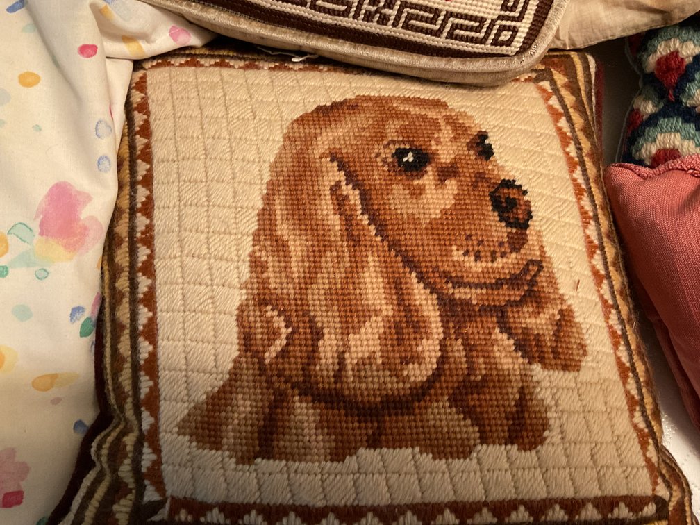 Image for Throw Pillows