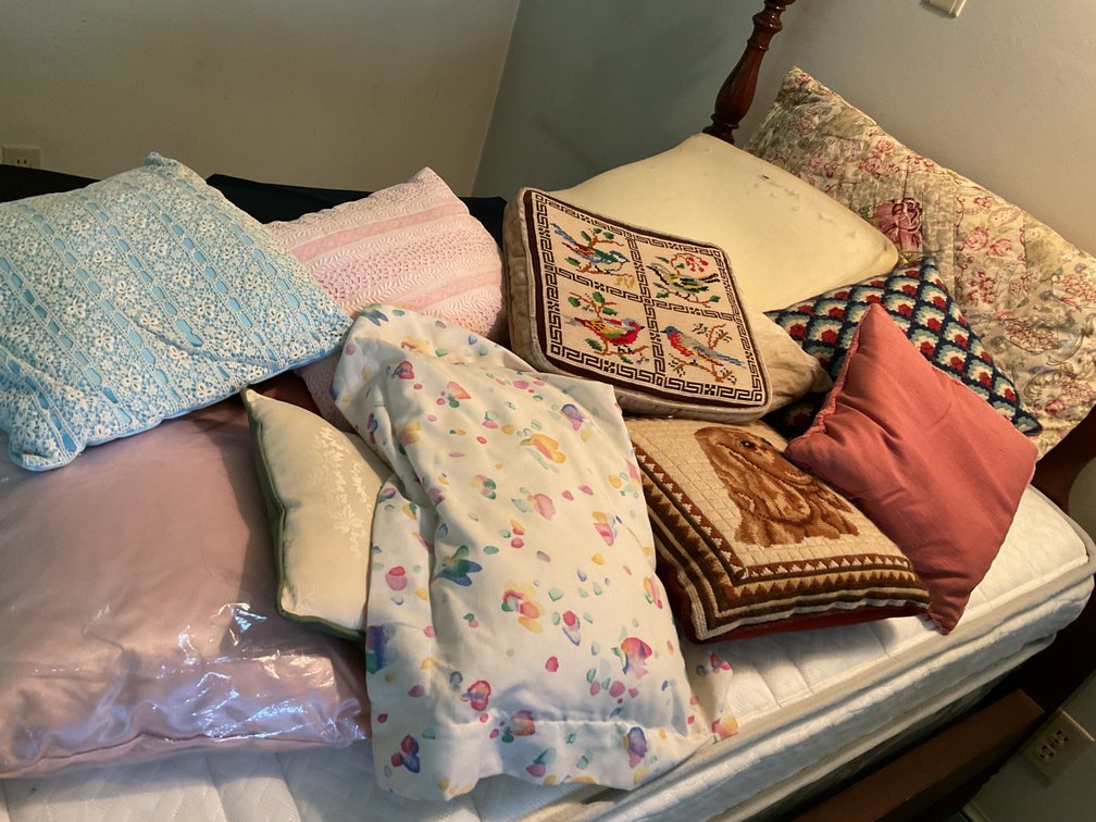 Image for Throw Pillows