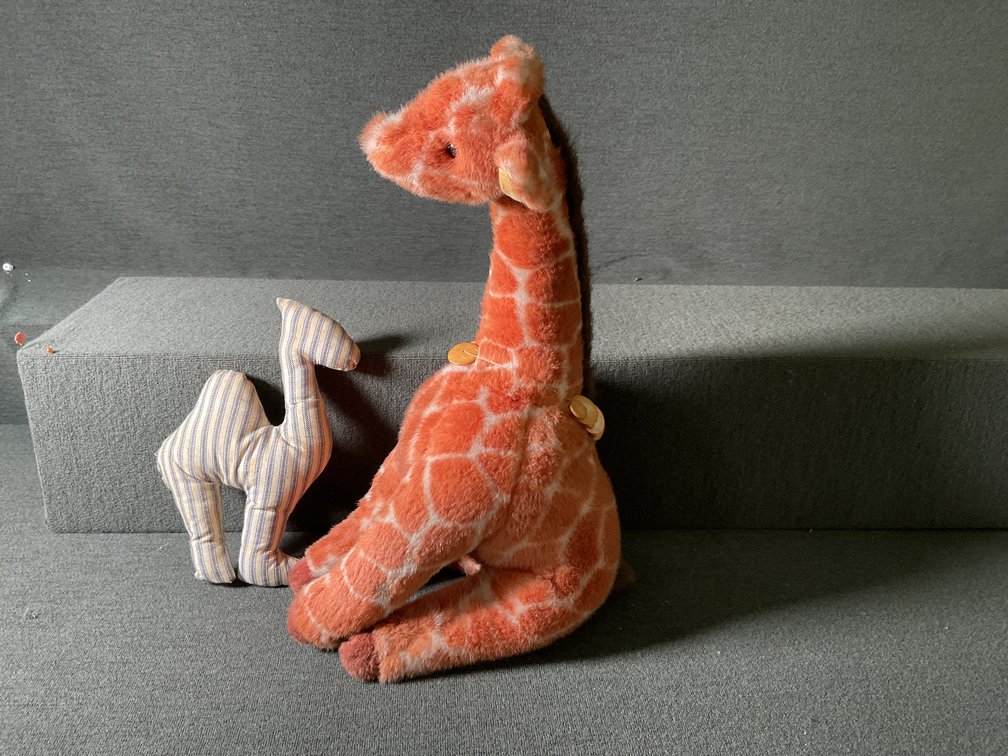 Image for Vintage Giraffe and Camel