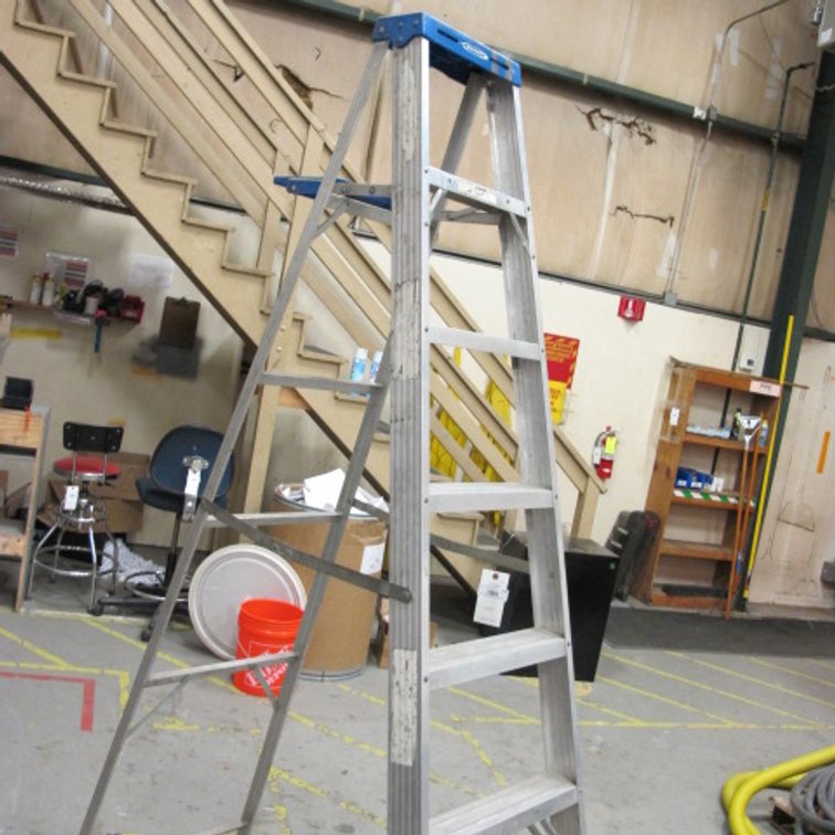 Image for Werner Ladder